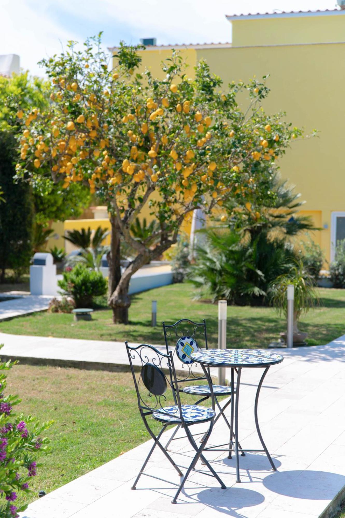 Il Leone Di Mare Hotel Procida Exterior photo